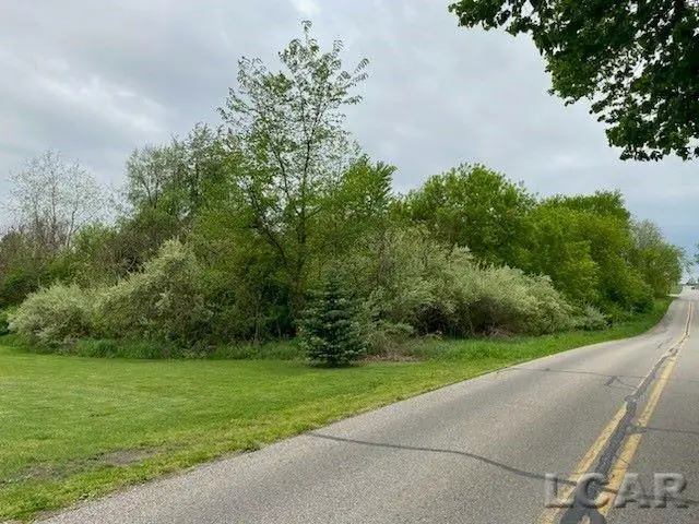 8000 BLK LOT 8 Stephenson, Onsted, MI 49265 - #1