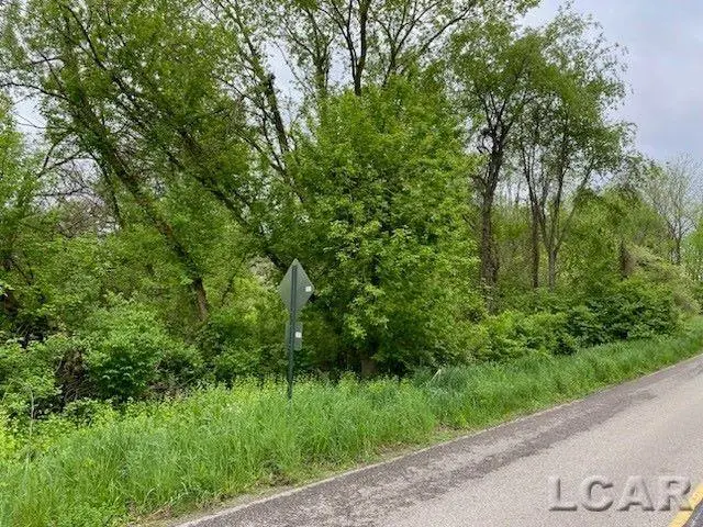 8000 BLK LOT 9 Stephenson, Onsted, MI 49265 - #1