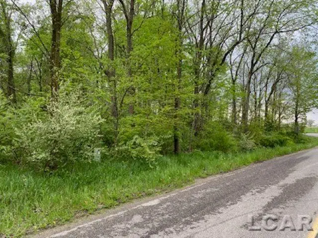 8000 BLK LOT 10 Stephenson, Onsted, MI 49265 - #1