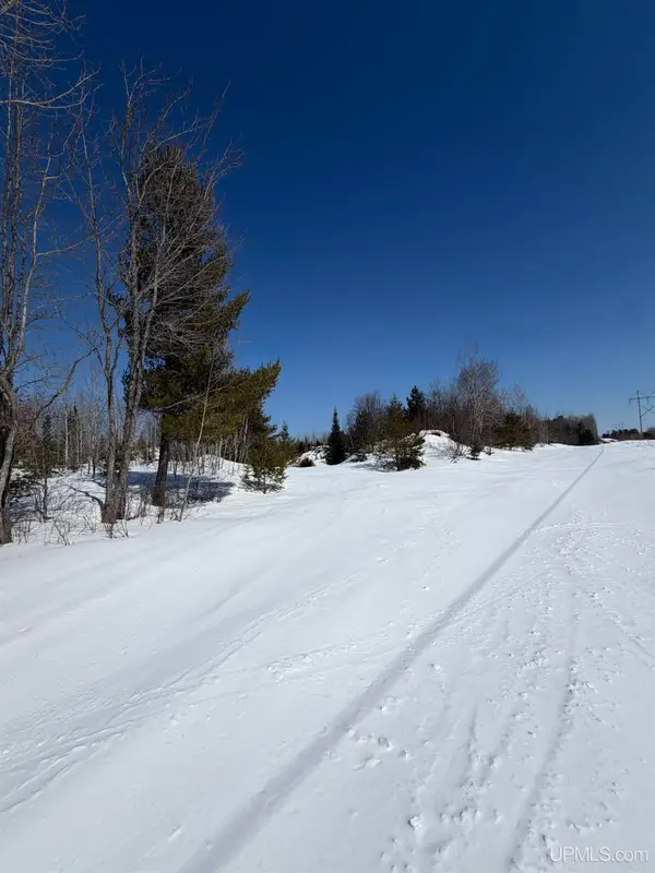TBD County Road Pre, Ishpeming, MI 49849