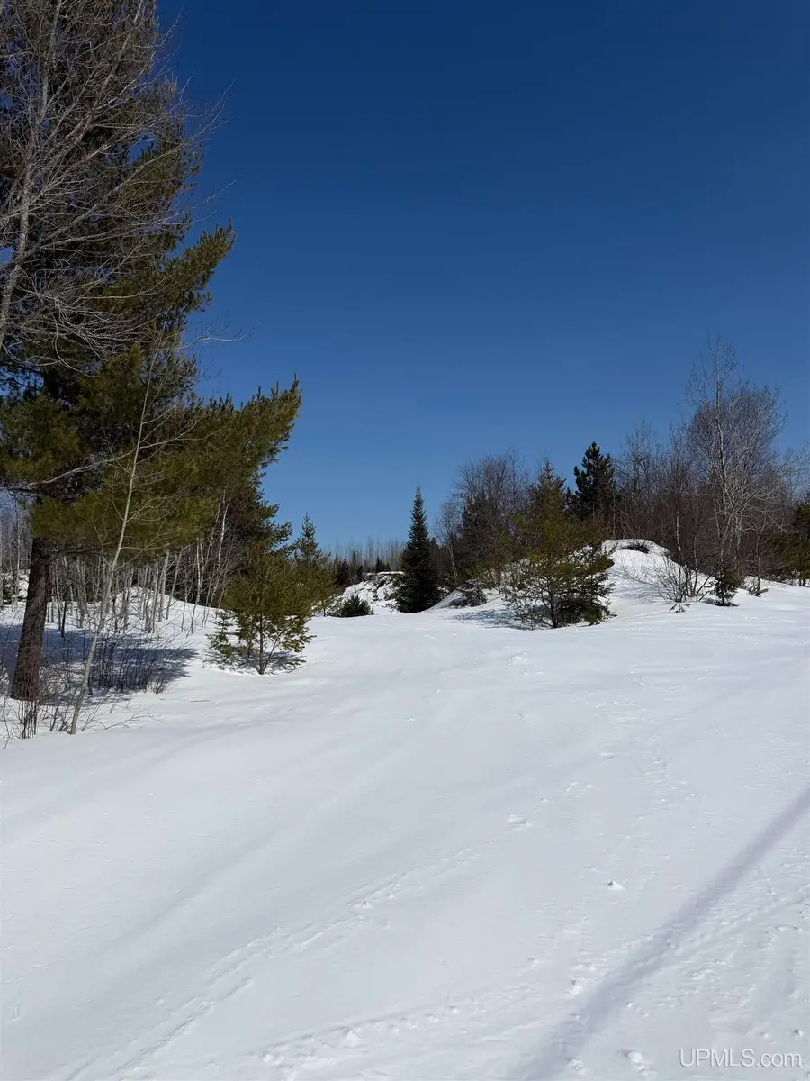 TBD County Road Pre, Ishpeming, MI 49849 - #2