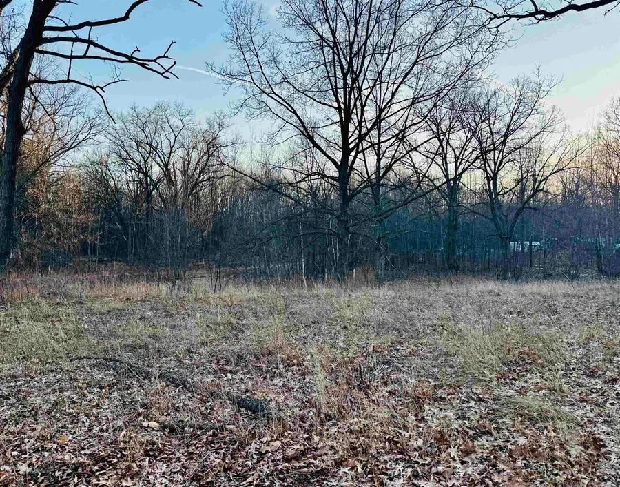 2730 S Clare, Clare, MI 48617 - #2