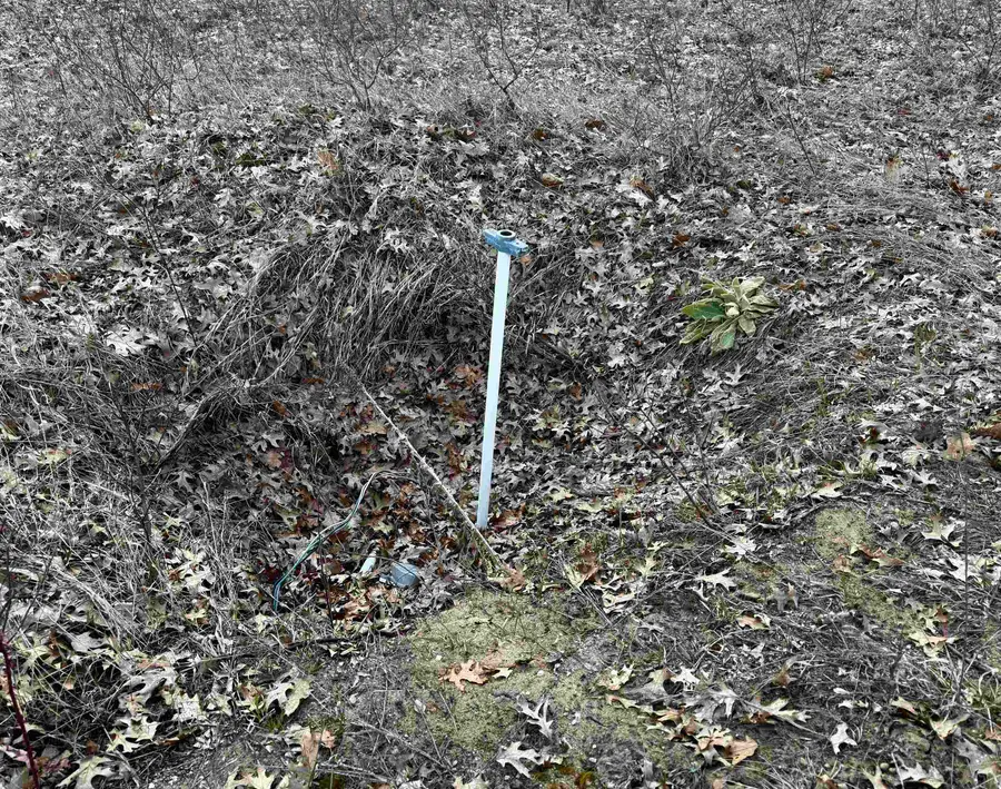 2730 S Clare, Clare, MI 48617 - #3