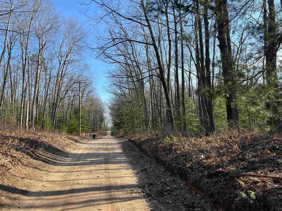 Lot 44 Hayes, Harrison, MI 48625 - #2