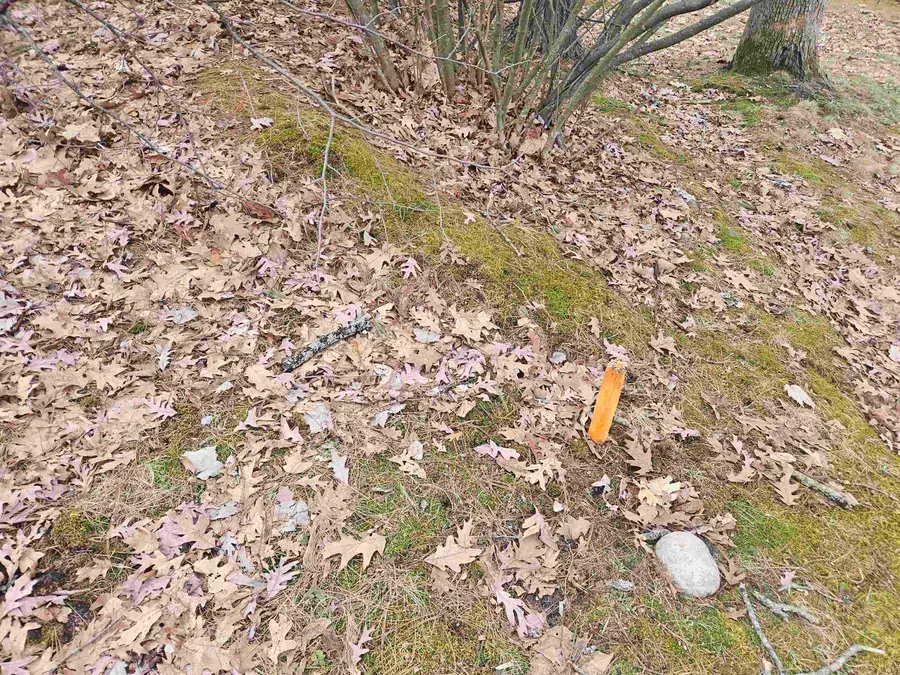 704 Isabella, Harrison, MI 48625 - #3