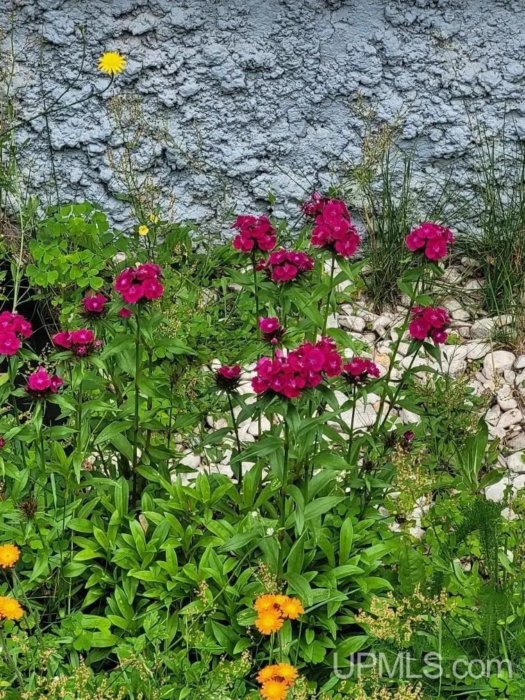 115 E College, Marquette, MI 49855 - #2