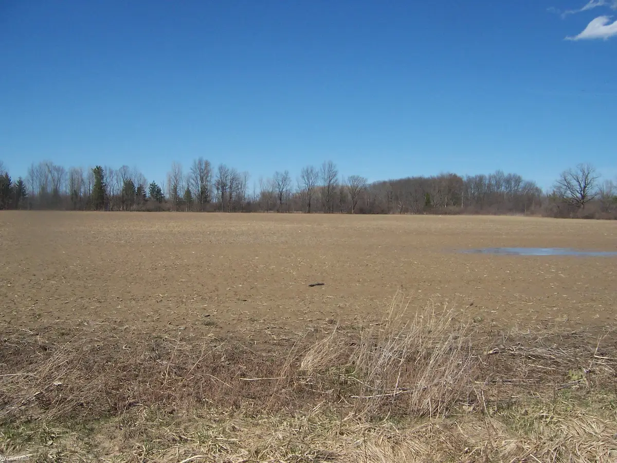 Lot 2 Beard Rd, Avoca, MI 48006 - #1