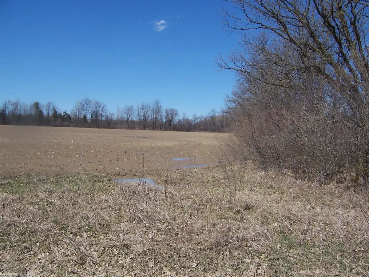 Lot 1 Beard Rd, Avoca, MI 48006 - #1