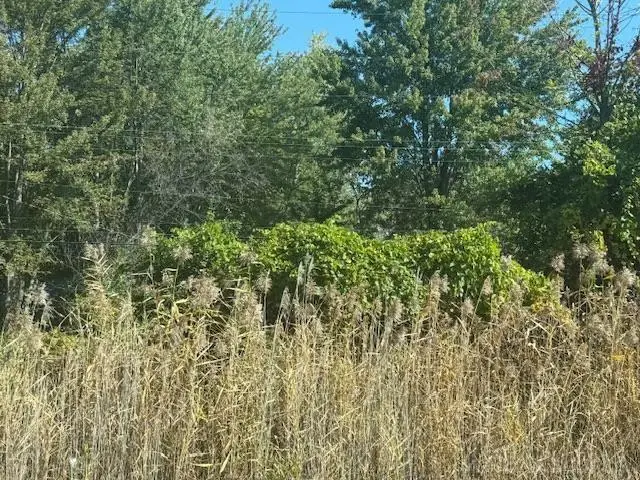 21 Mile Rd 21 Mile, Chesterfield, MI 48047 - #3