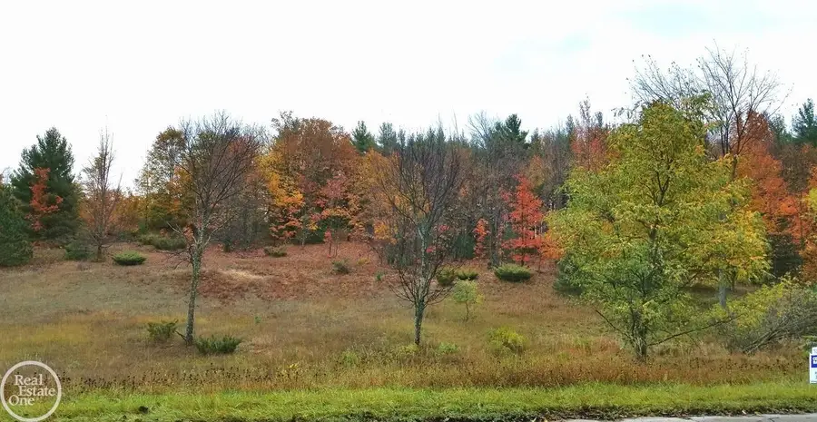 S Fritz, Maple City, MI 49664 - #2