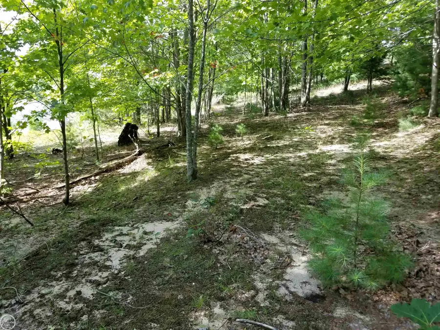 S Fritz, Maple City, MI 49664 - #3