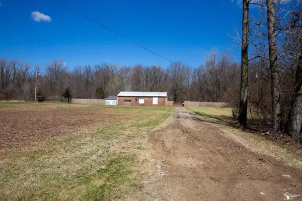 47106 Wear, Belleville, MI 48111