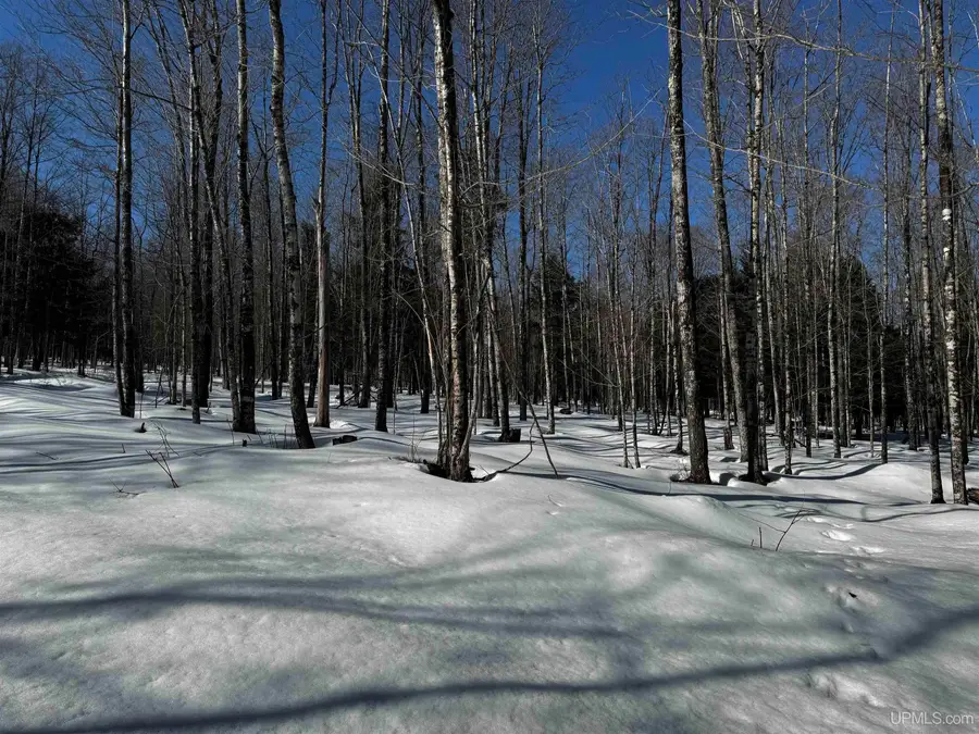 TBD Lower Skanee, Skanee, MI 49962 - #2