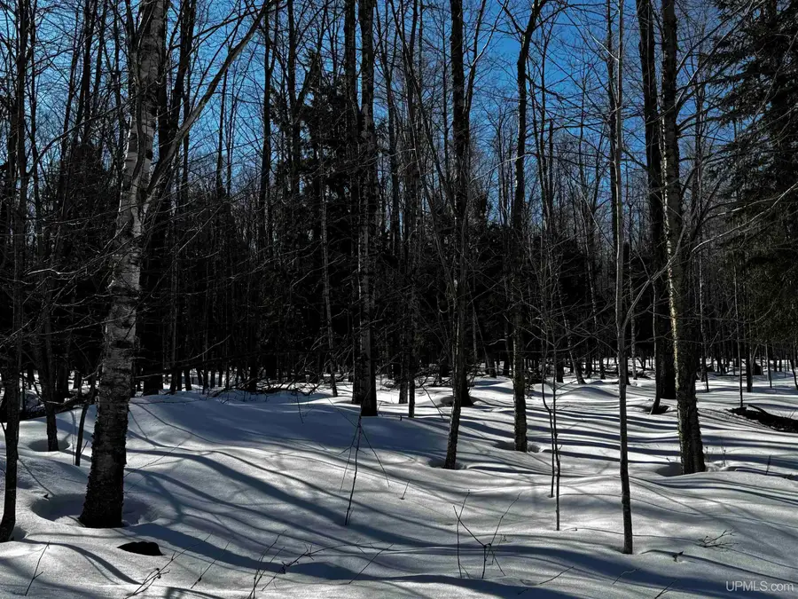 TBD Lower Skanee, Skanee, MI 49962 - #3