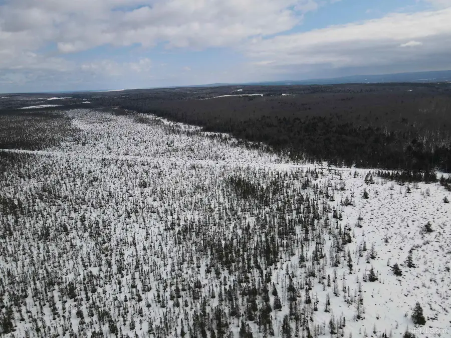 Near Gristmill, Baraga, MI 49908 - #2