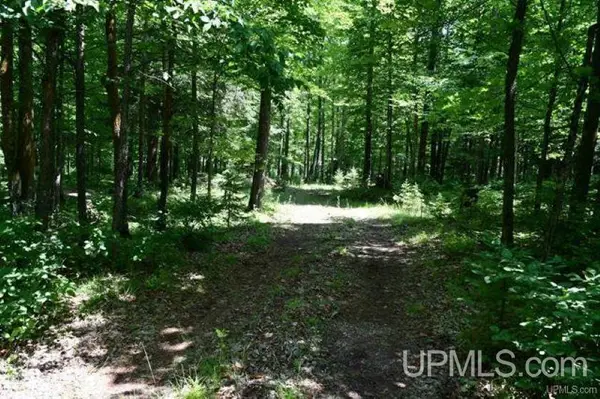 Lot#26 Fordville, Hardwood, MI 49834