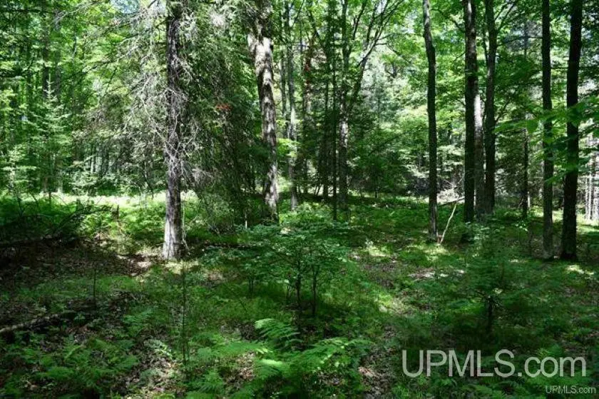 Lot#26 Fordville, Hardwood, MI 49834 - #2