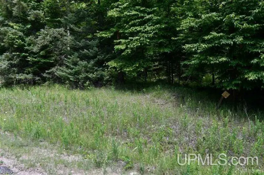 Lot#26 Fordville, Hardwood, MI 49834 - #3