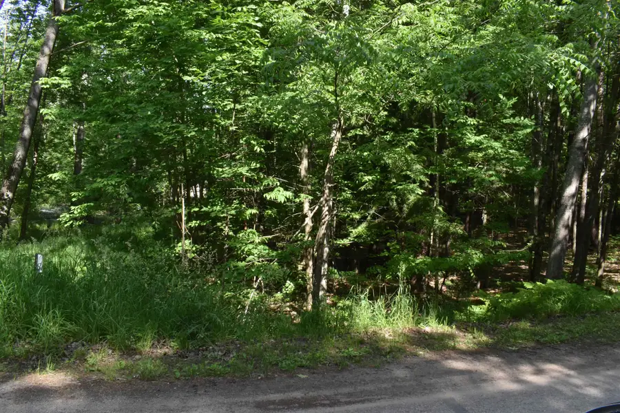 Lot 196 Princess, Gladwin, MI 48624 - #2