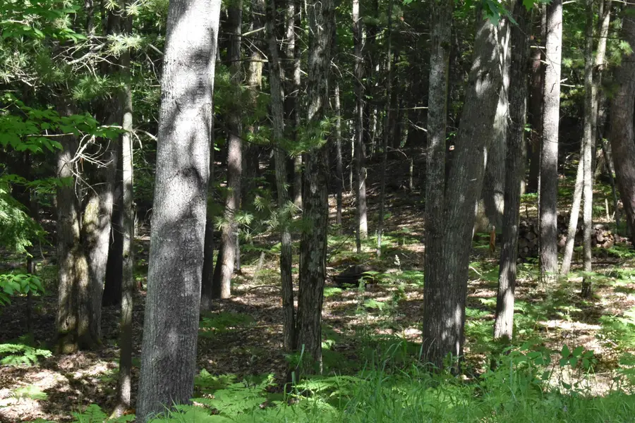 Lot 196 Princess, Gladwin, MI 48624 - #3