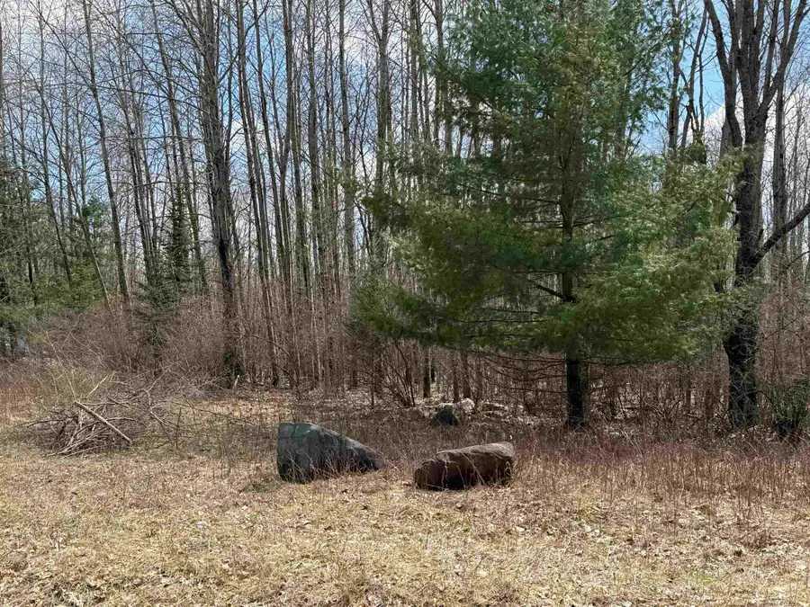 60 Sandbridge, Gladwin, MI 48624 - #2