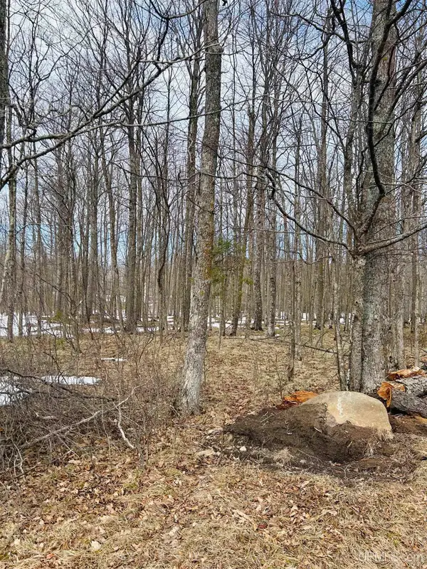 Lot#25 Fordville, Hardwood, MI 49834