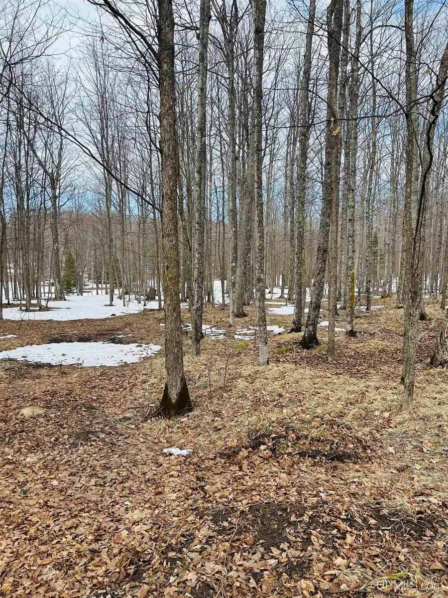 Lot#25 Fordville, Hardwood, MI 49834 - #2