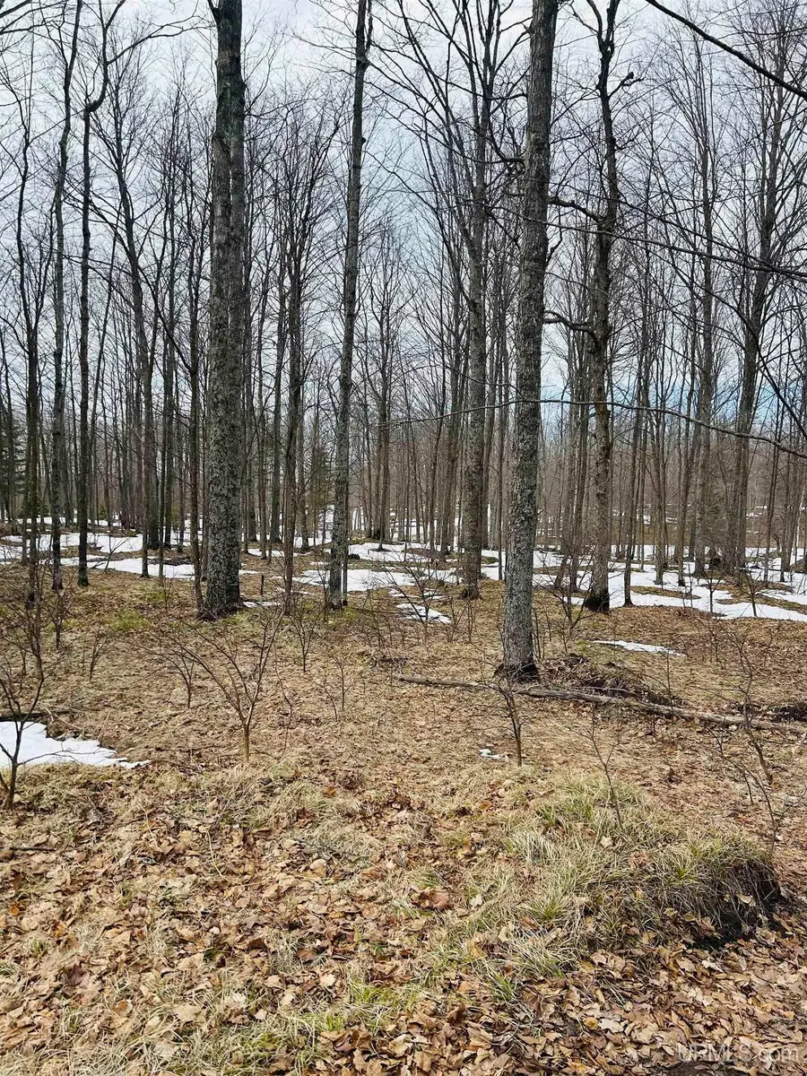 Lot#25 Fordville, Hardwood, MI 49834 - #3