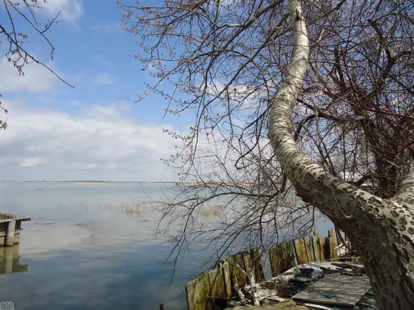 8150 S Channel, Harsens Island, MI 48028