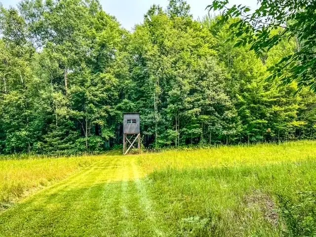 5495 W Clarence, Harrison, MI 48625 - #3