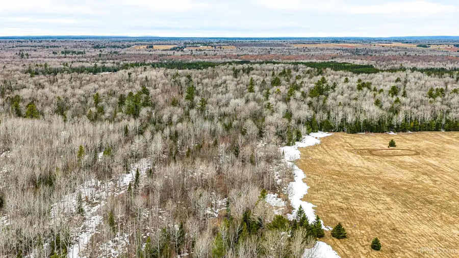 TBD Off Of Choate, Ewen, MI 49925 - #3