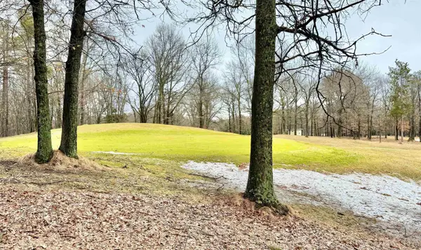 TBD S Lake Bluff 0.5, Gladstone, MI 49837