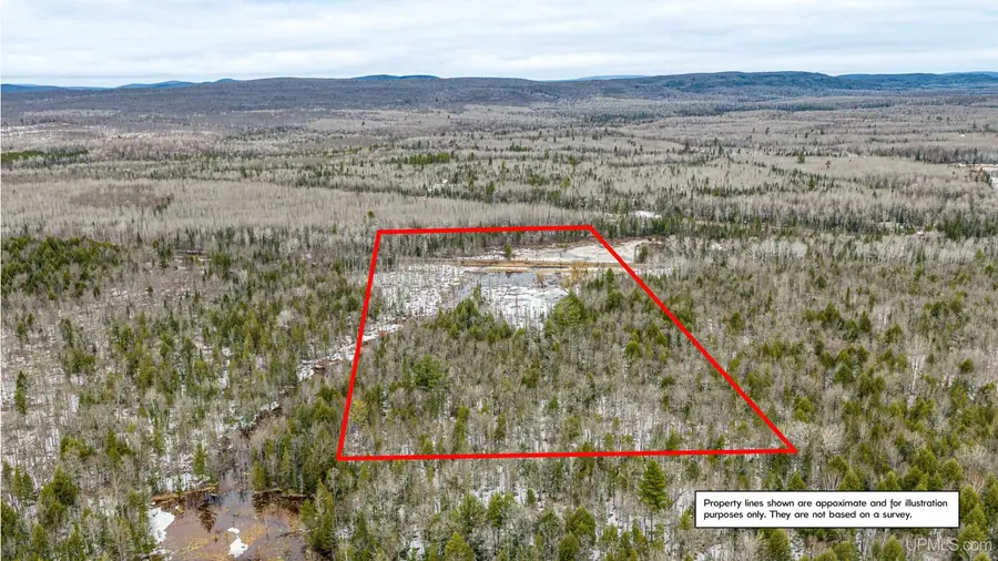 TBD Off M28, Ewen, MI 49925 - #2