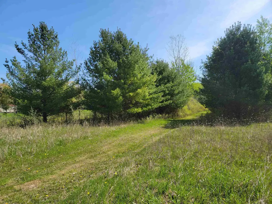 32 acres Three Rivers, Gladwin, MI 48624 - #3