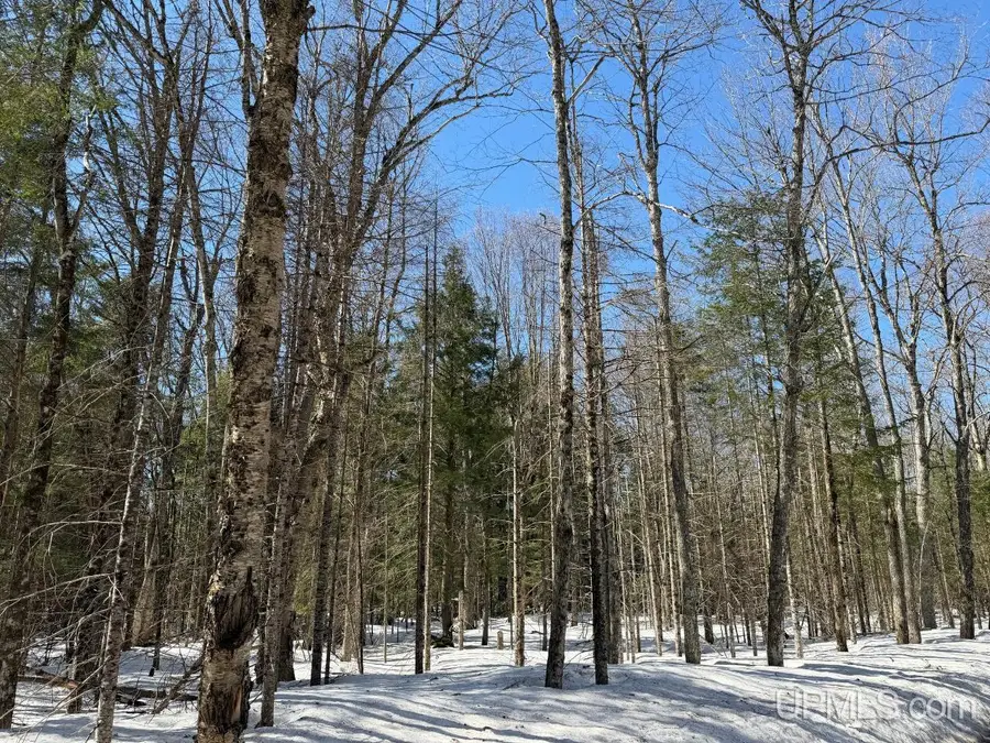 40 Acres Dukes, Skandia, MI 49885 - #3