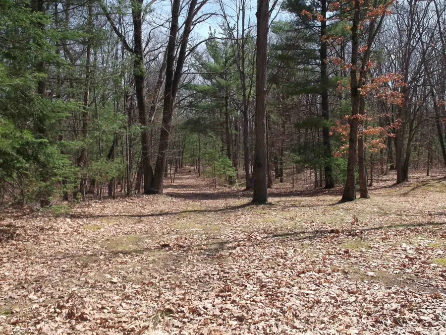 NHN Vanden, Harrison, MI 48625 - #2