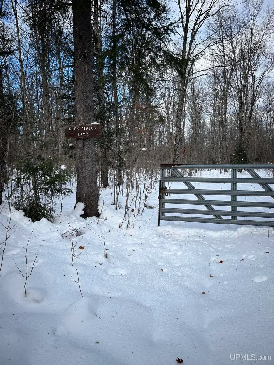 TBD Cable Lake, Crystal Falls, MI 49920 - #2