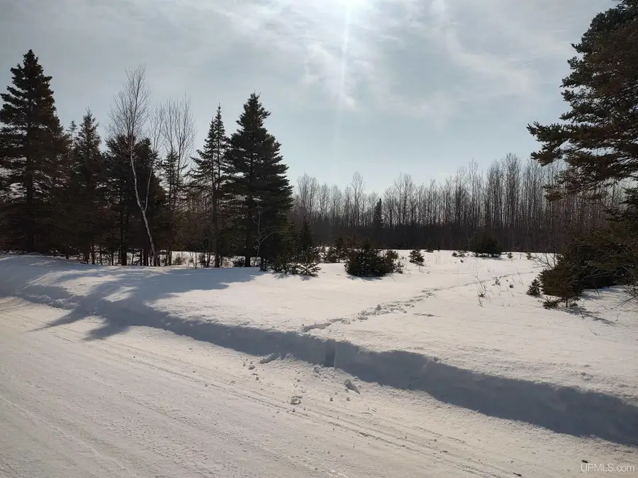 30 Acres Parkington, Gulliver, MI 49840 - #2