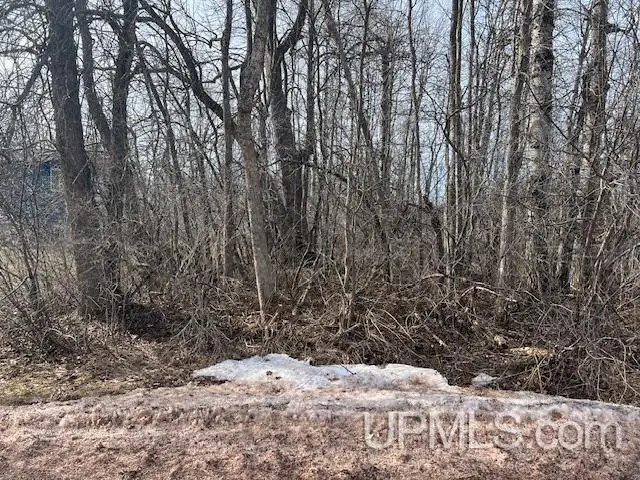 E Margaret, Ironwood, MI 49938 - #2