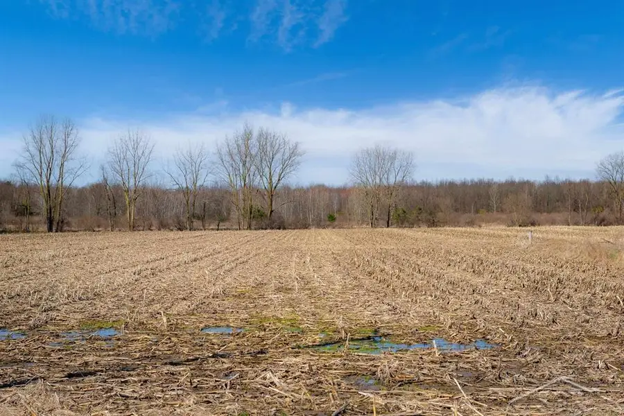 VL S Iva, Saint Charles, MI 48655 - #3