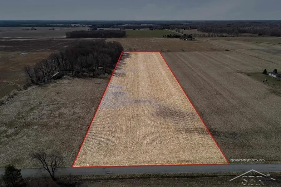 9.9 Acres Grabowski, Saint Charles, MI 48655 - #2