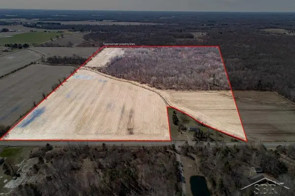 78.23 Acres Grabowski, Saint Charles, MI 48655