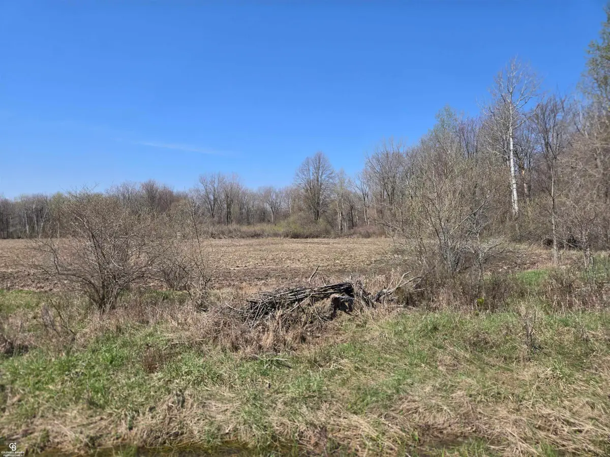 1182 Fetting Vl, Sandusky, MI 48471 - #1