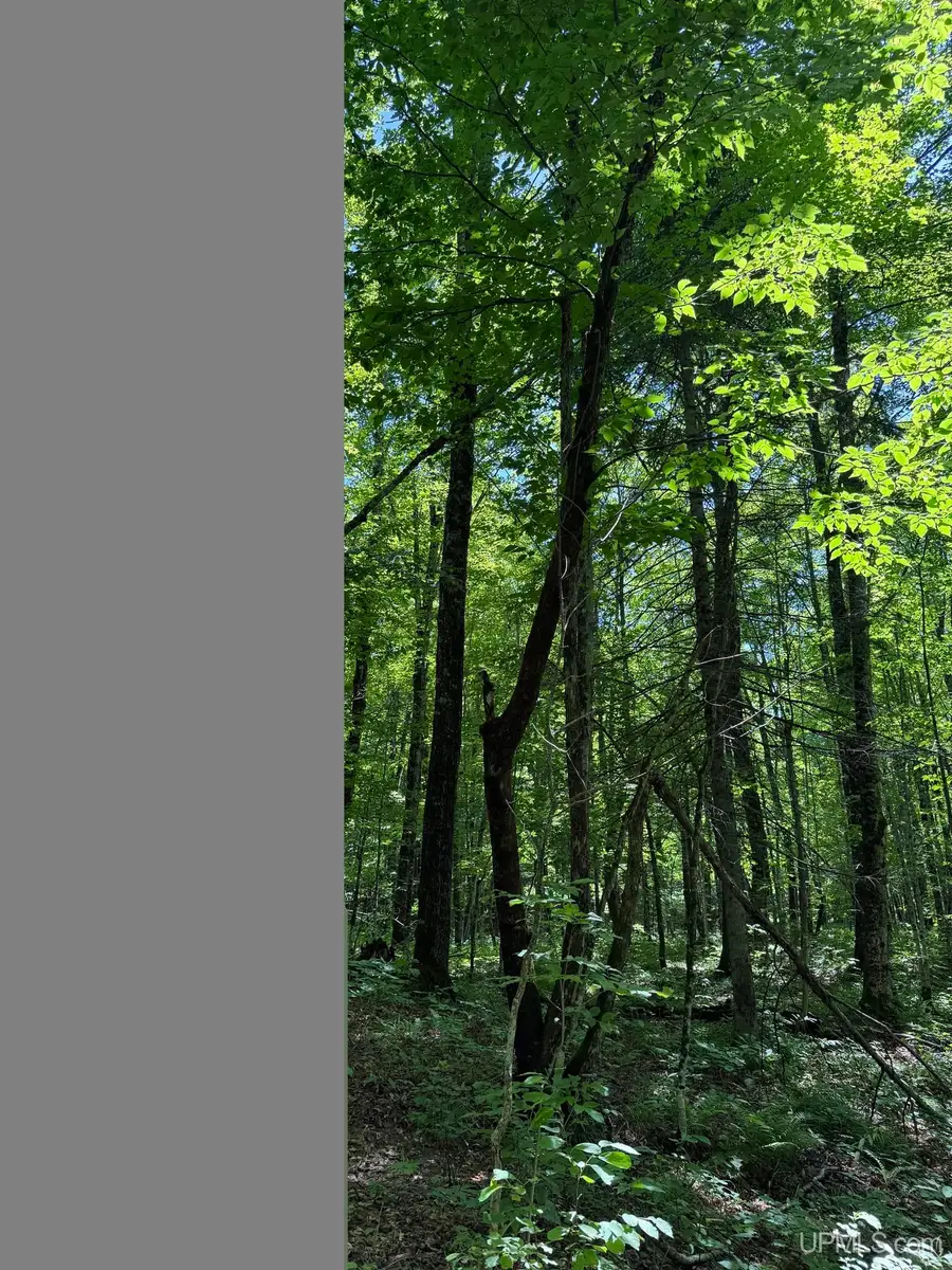 14163 Black Creek, Skanee, MI 49962 - #2