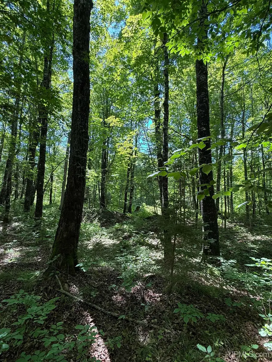 14163 Black Creek, Skanee, MI 49962 - #3