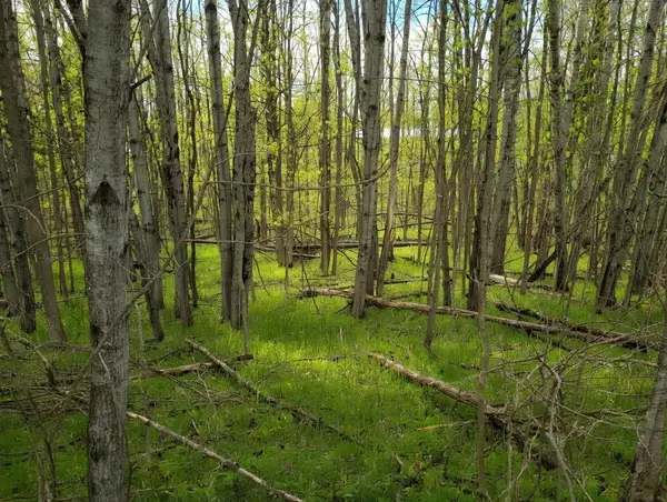 Lot 56 Linksview, Gladwin, MI 48624