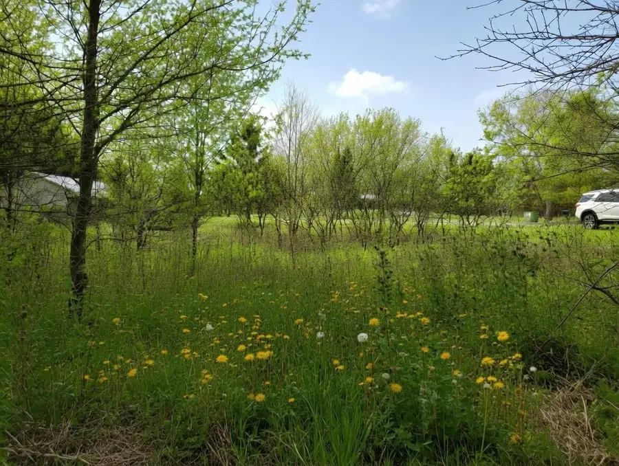 Lot 56 Linksview, Gladwin, MI 48624 - #2