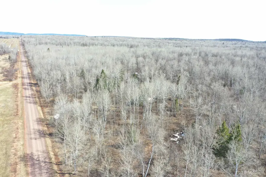 TBD N Novak, Ewen, MI 49925 - #2