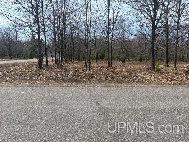 62 Oak Drive, Gladstone, MI 49837 - #3