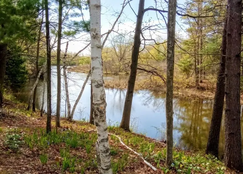 3215 North Branch, Beaverton, MI 48612 - #3